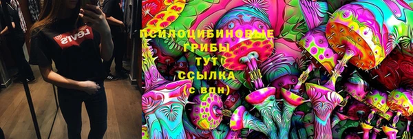 трава Балахна