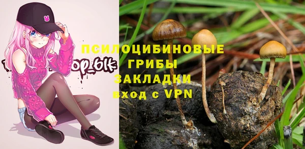 трава Балахна