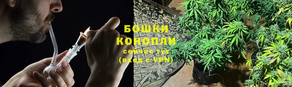 трава Балахна