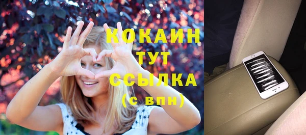 мяу мяу мука Баксан