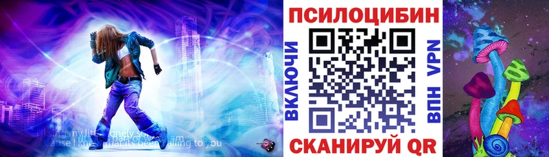 купить закладку Кодинск Псилоцибиновые грибы GOLDEN TEACHER